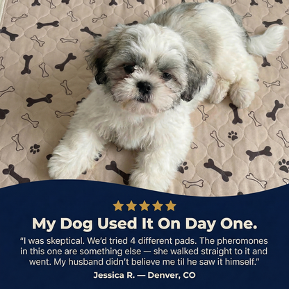 ForeverPad™ - The Last Pee Pad You'll Get