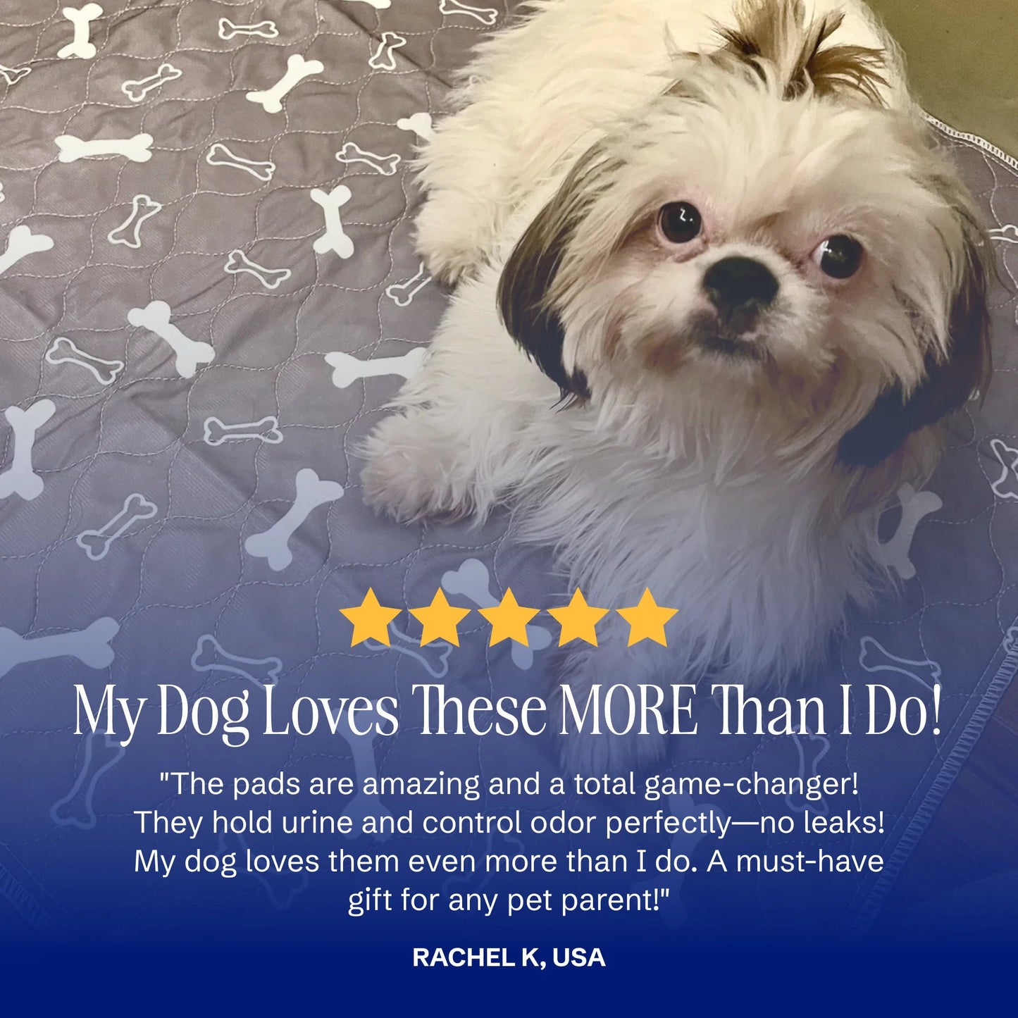 ForeverPad™ - Your Final Pee Pad